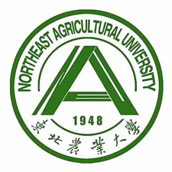 东北工业大学