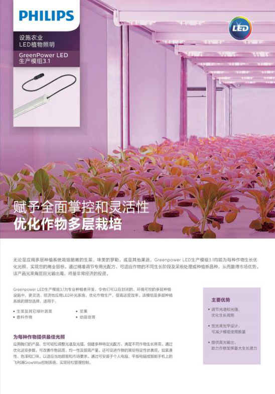 Green Power LED生产模组