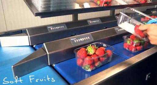 荷兰威斯康自动化设备