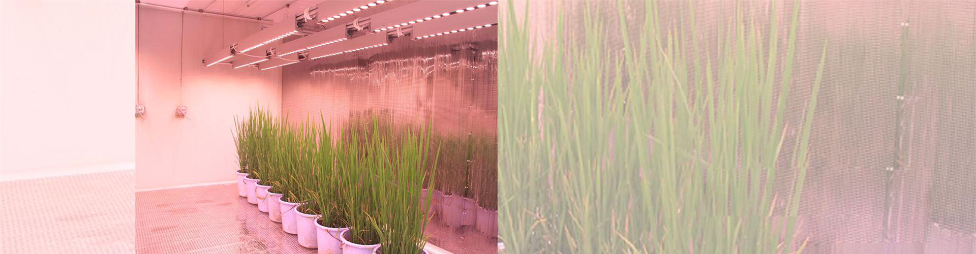 乐投(中国)一站式服务平台