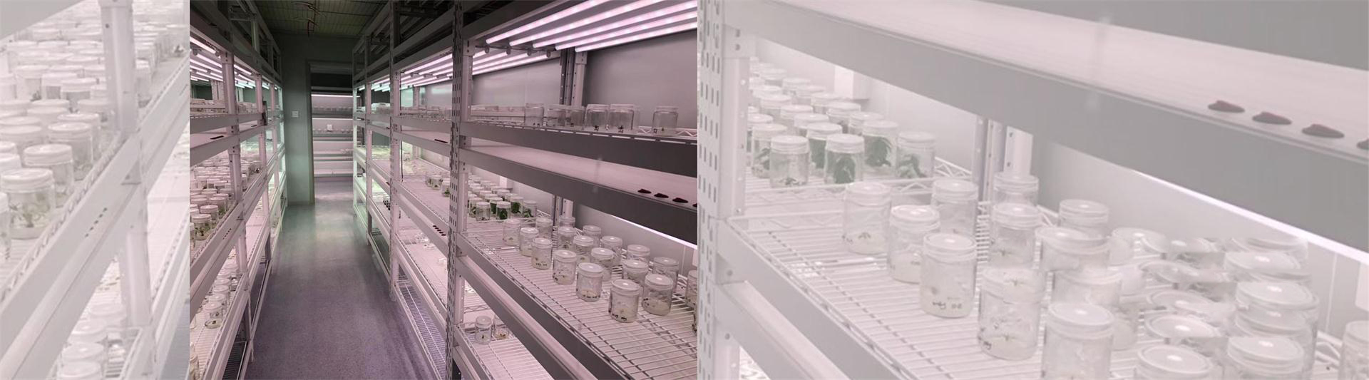 人工模拟环境的整体解决方案